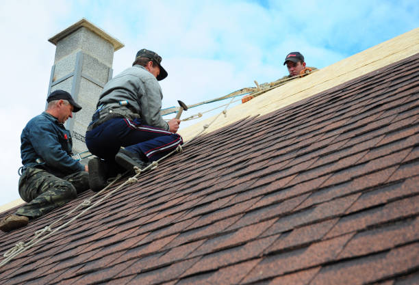 Best Commercial Roofing Services  in Cherry Valley, IL